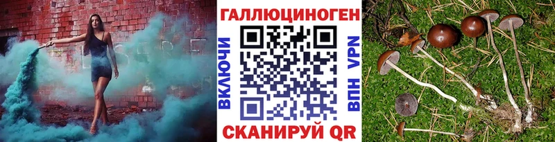 Псилоцибиновые грибы Psilocybine cubensis  цена   блэк спрут ссылка  Западная Двина 
